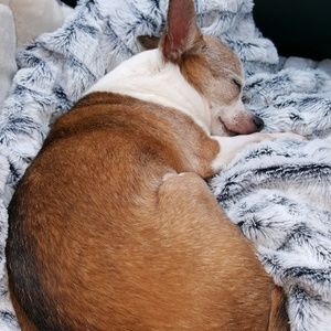 Meet your Posher, Lora